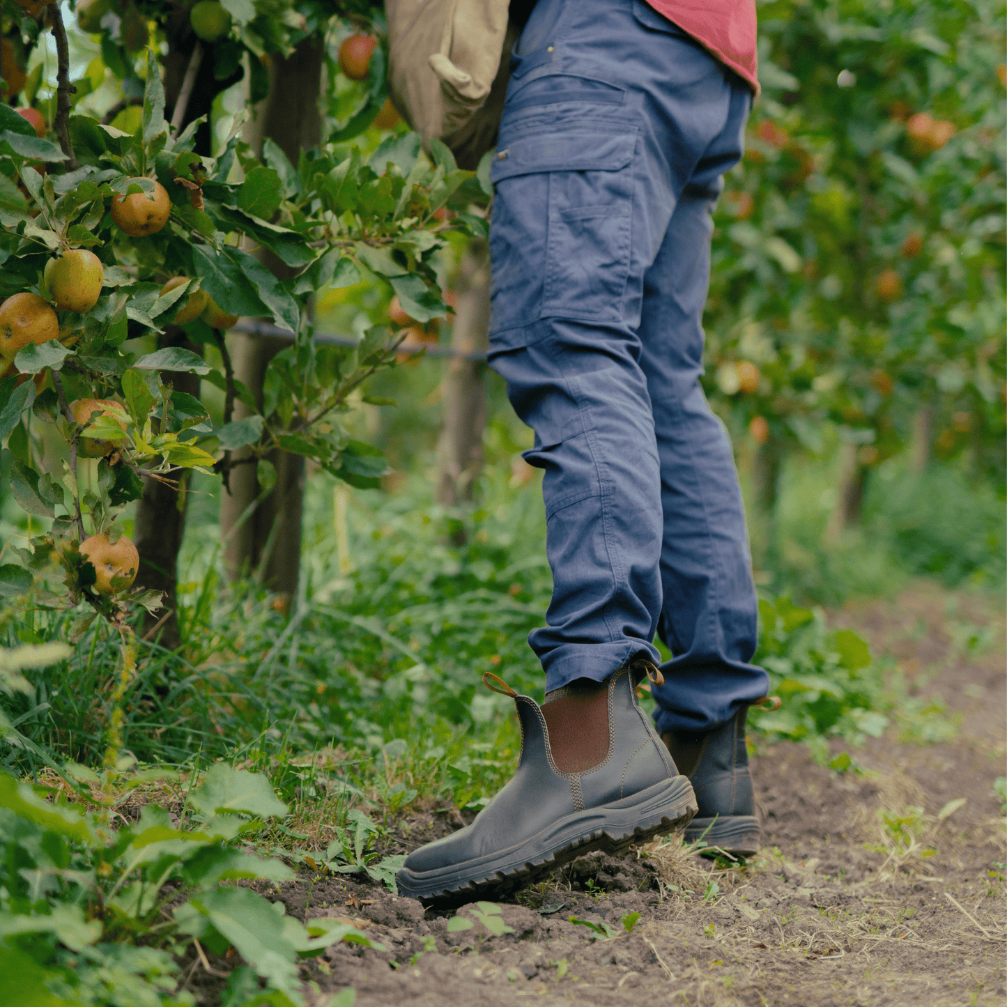 Top rated Blundstone 192 safety boots - ideal for tough work environments.