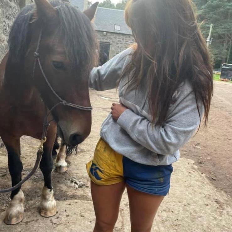 Horse handler wearing gold and blue rugby clothing