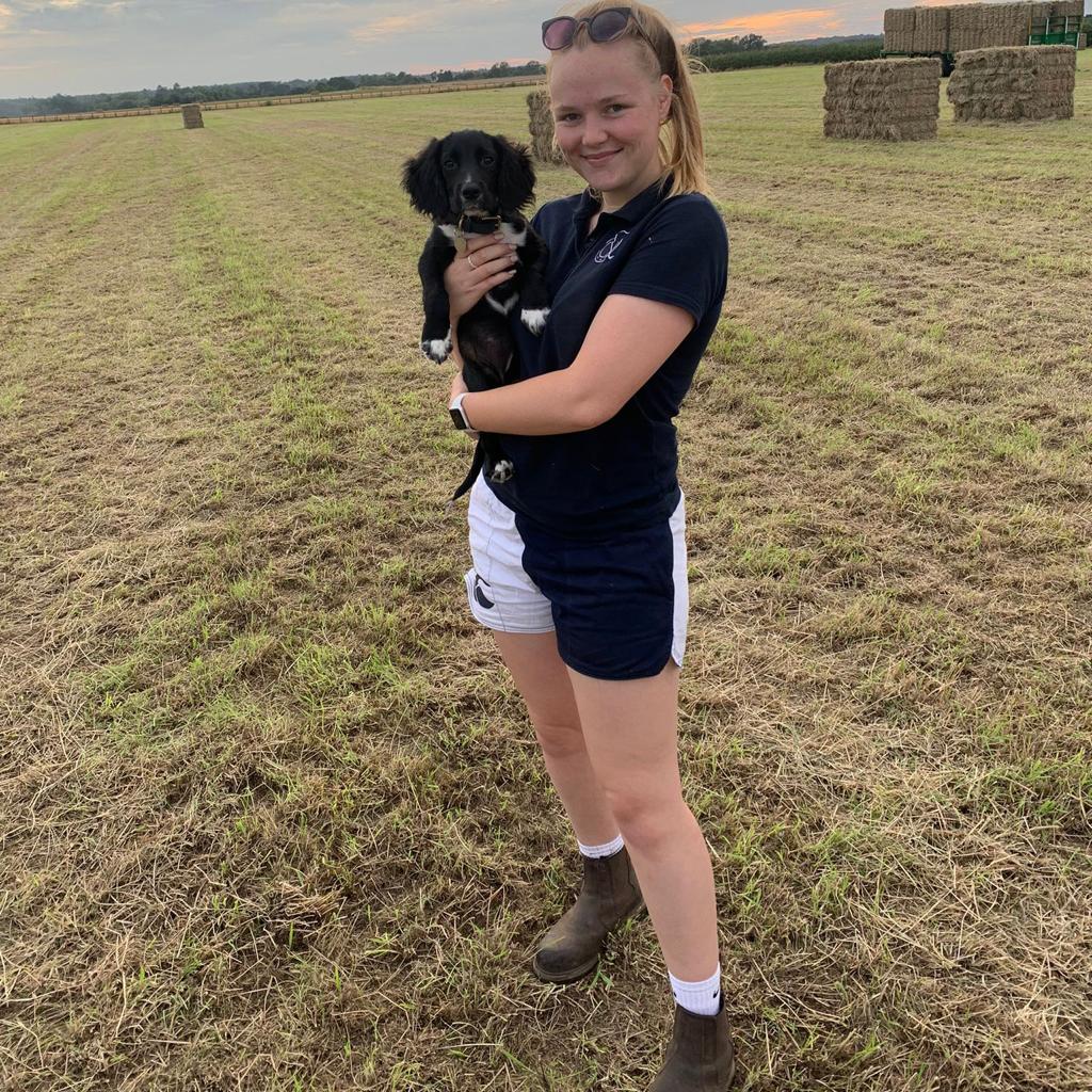 Dog handler wearing white and navy Canterbury rugby shorts with pockets