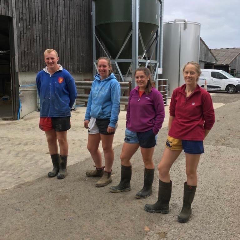 Four workers standing in a line and wearing Canterbury harlequin shorts in 4 colours