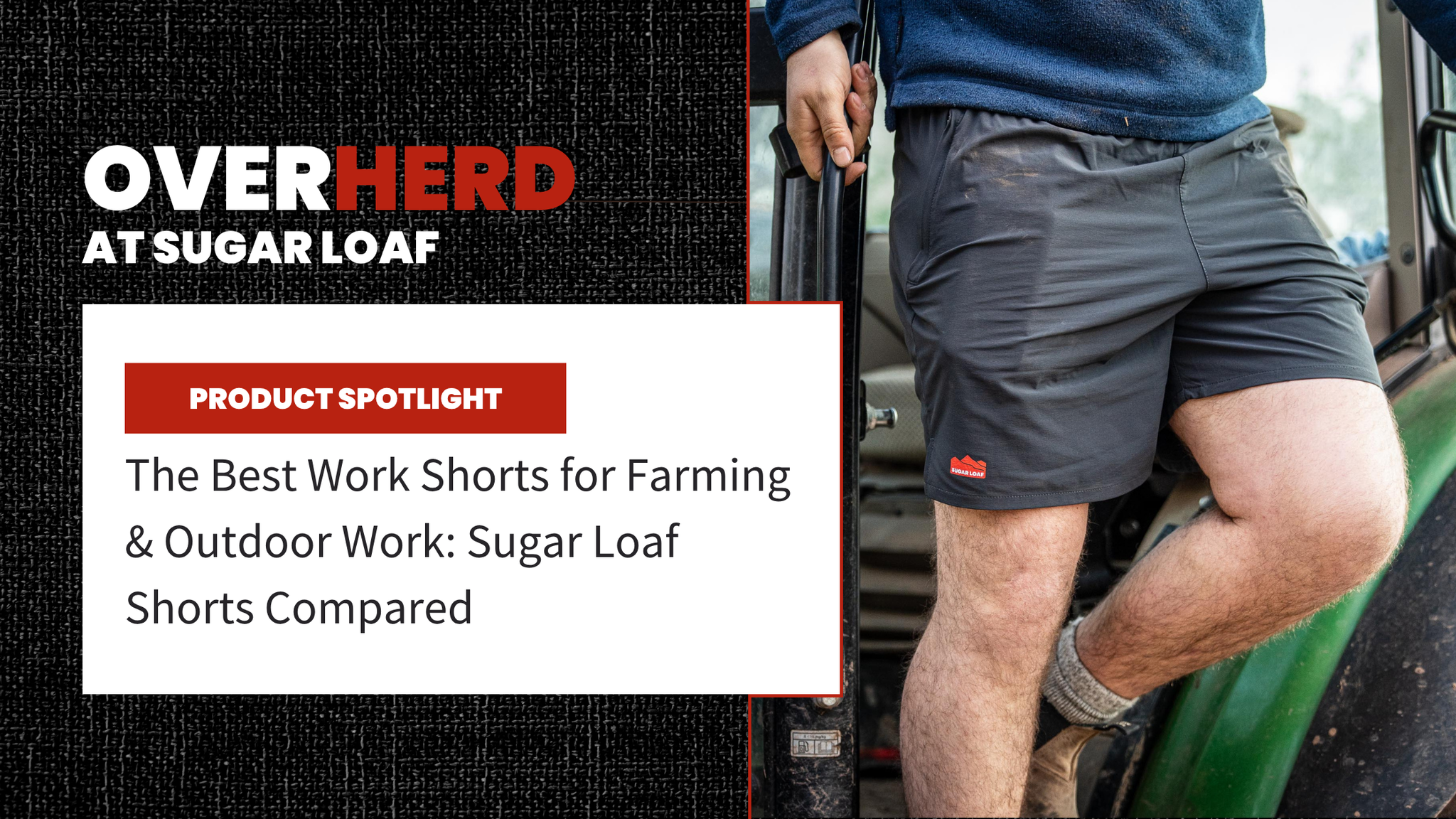 The Best Work Shorts for Farming & Outdoor Work: Sugar Loaf Shorts Compared