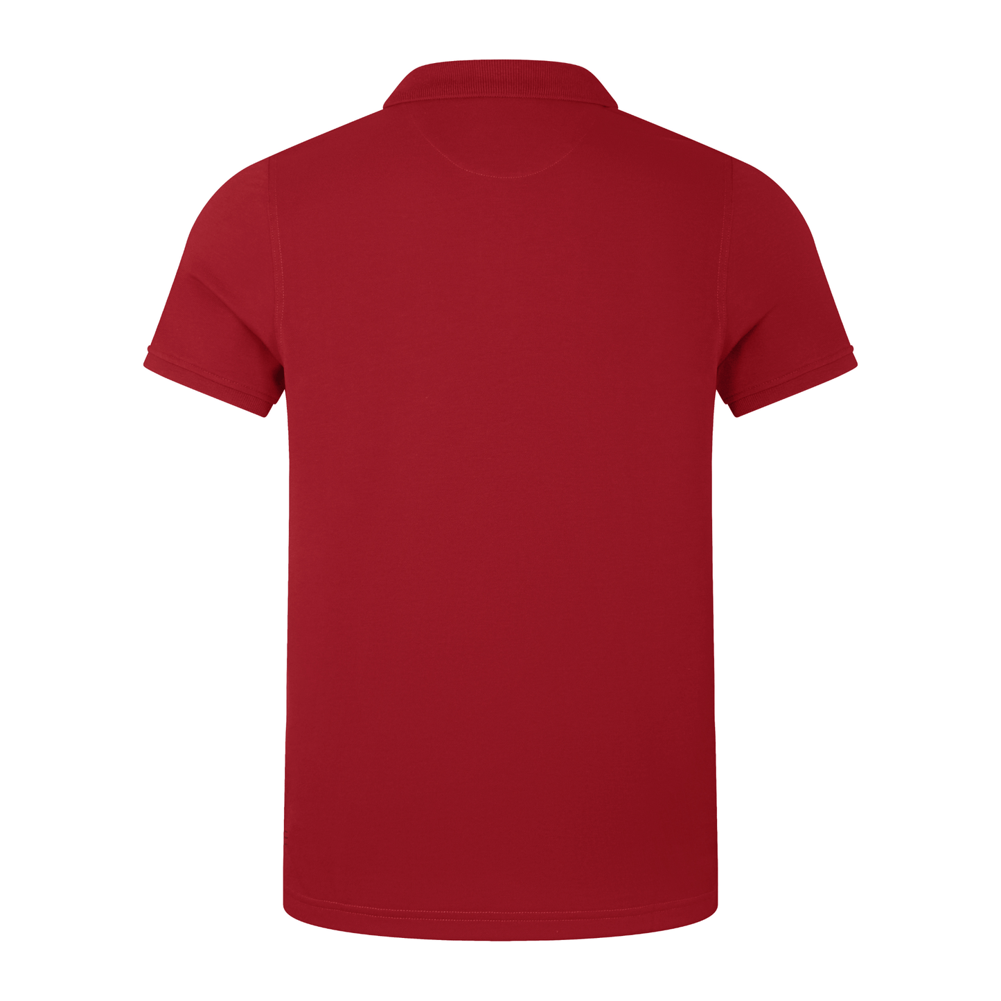 
                  
                    Canterbury British & Irish Lions Pique Rugby Polo (Unisex) - Red Dahlia
                  
                