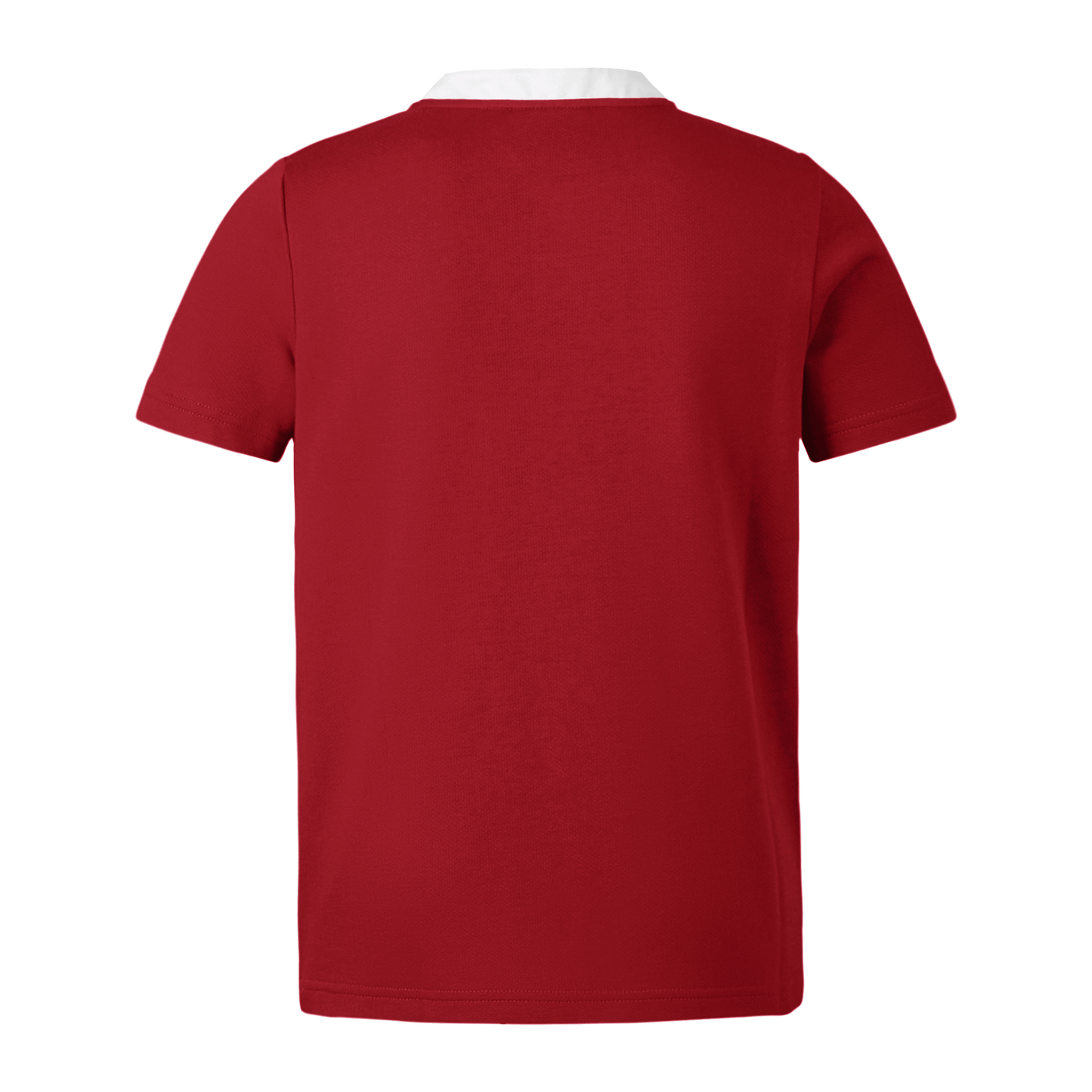 
                  
                    Canterbury British & Irish Lions Short Sleeve Classic Rugby Jersey (Unisex) - Red Dahlia
                  
                