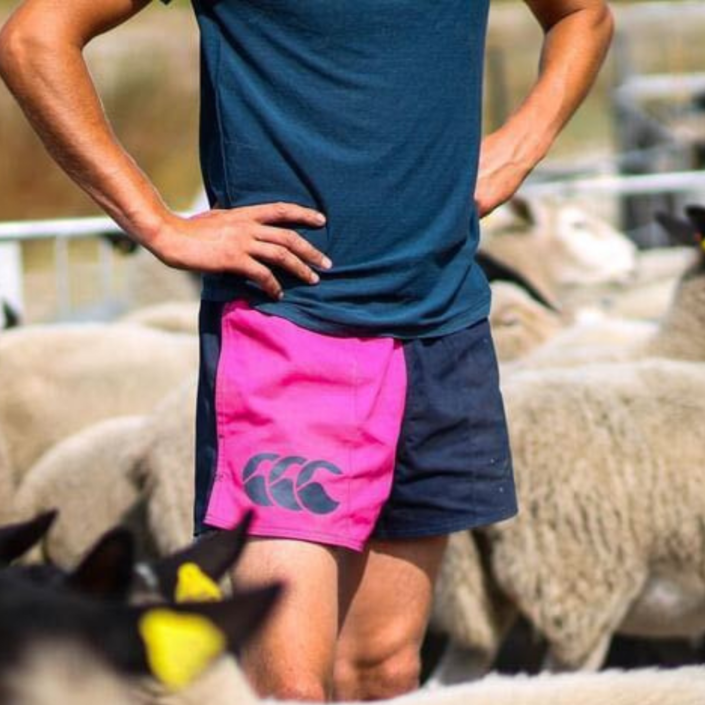 Canterbury Shorts Agricultural Farm Clothing Sugar Loaf Clothing