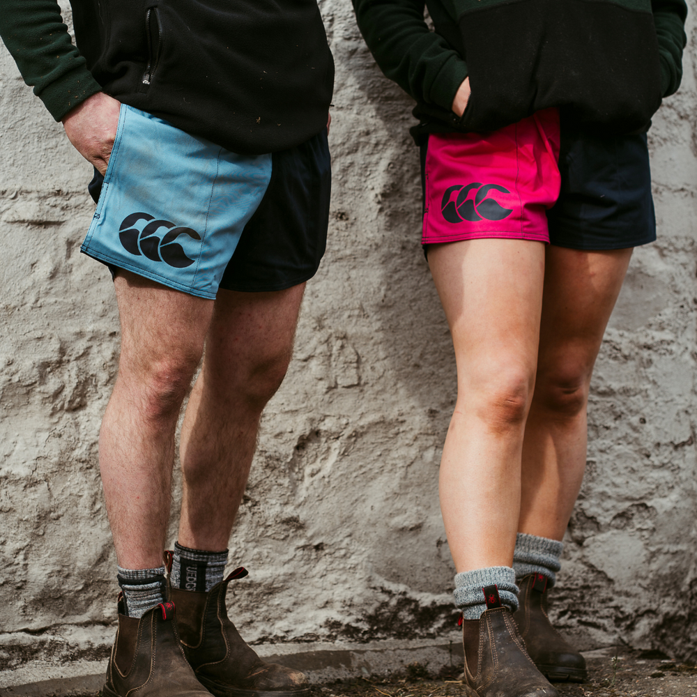 Cronulla Navy and Pink Navy Canterbury Shorts