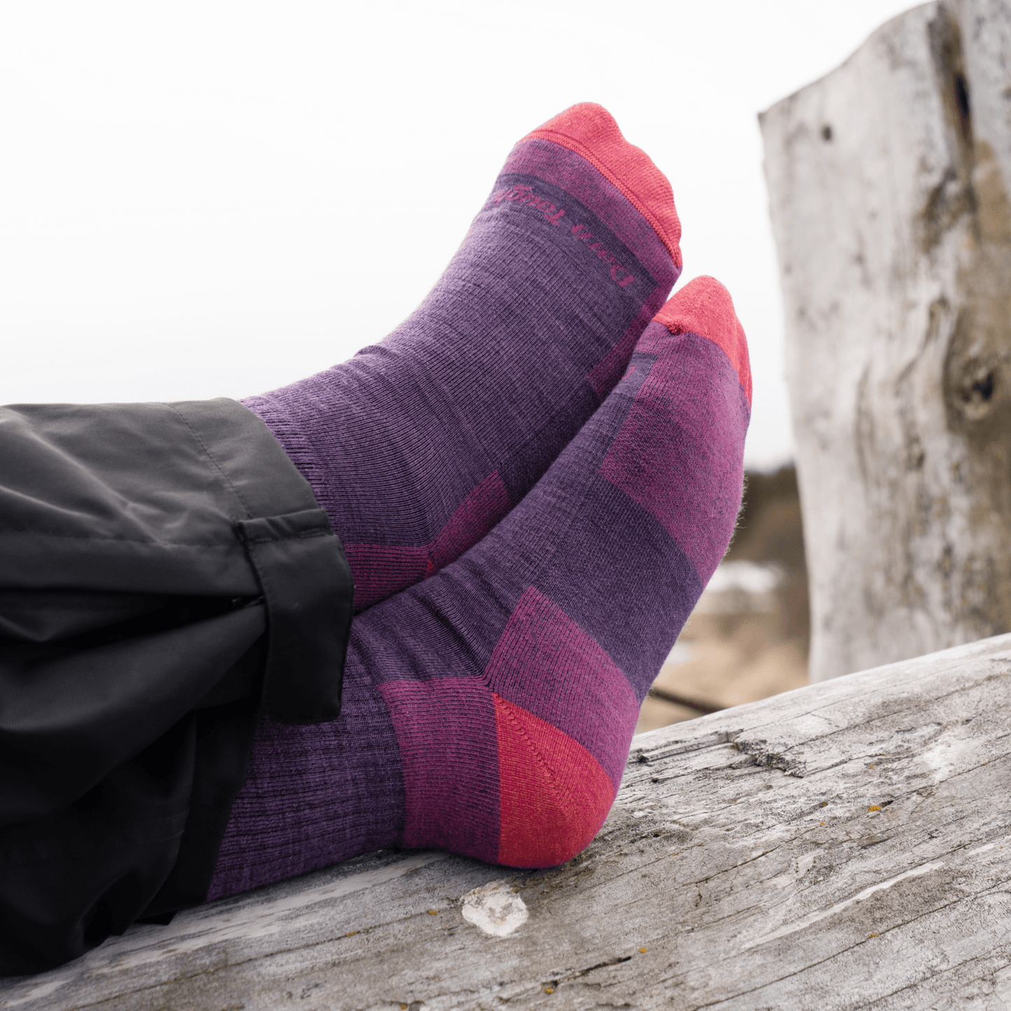 
                  
                    Darn Tough Women's Hiker Micro Crew Midweight with Cushion Socks - Plum Heather
                  
                