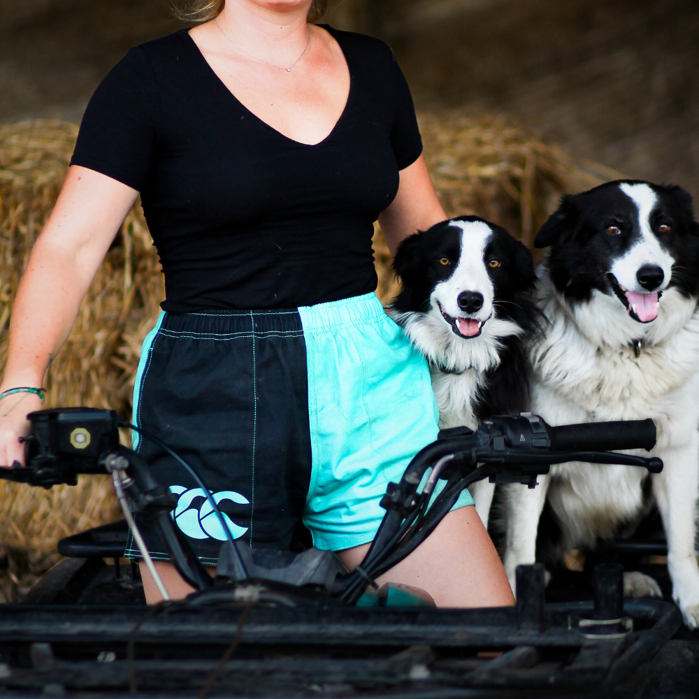 Sugar Loaf Limited Edition Canterbury Shorts