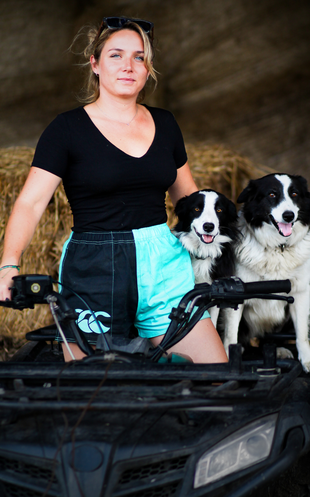 Sugar Loaf Limited Edition Canterbury Shorts