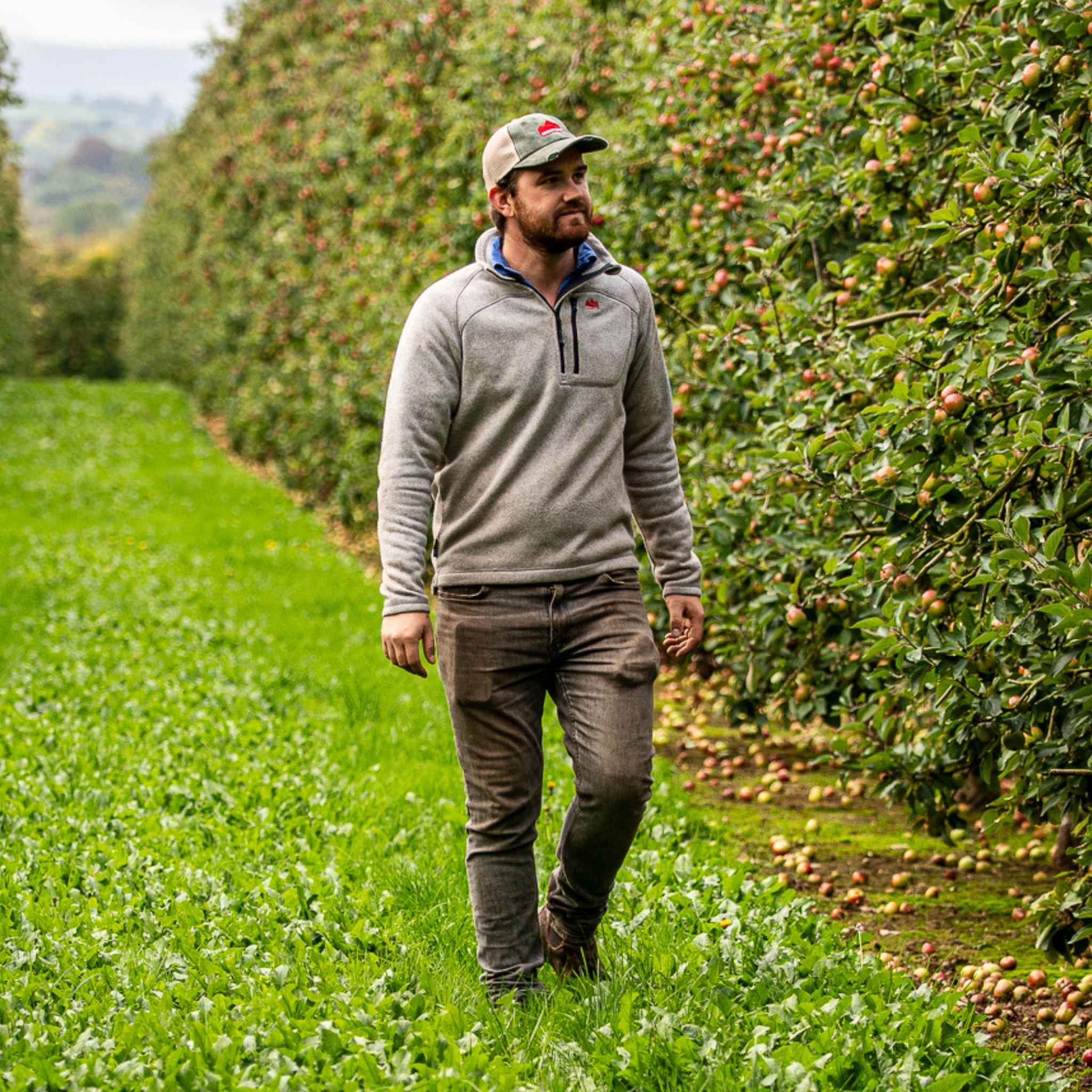 
                    
                      Farmer walking through farmland in Sugar Loaf Fell Half Zip Fleece ash, reliable farm wear.
                    
                  
