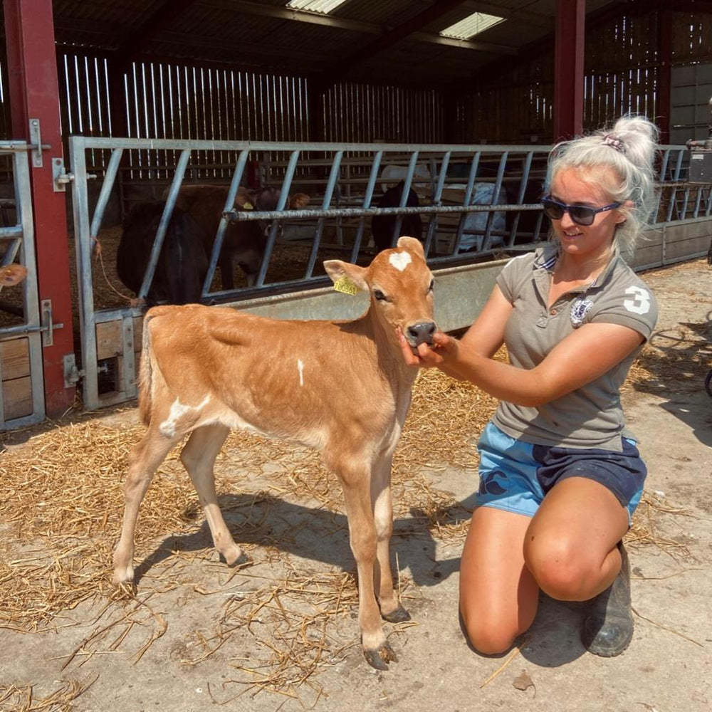 
                  
                    A farmer wearing Canterbury two tone rugby shorts and feeding a cow
                  
                