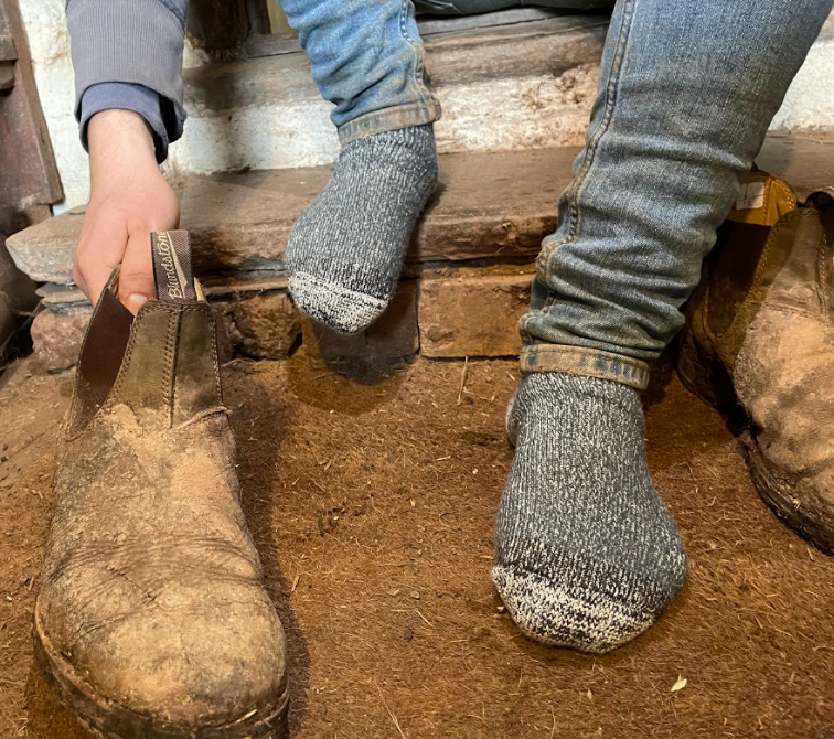 
                  
                    Comfort Socks NZ Merino Boot Socks
                  
                