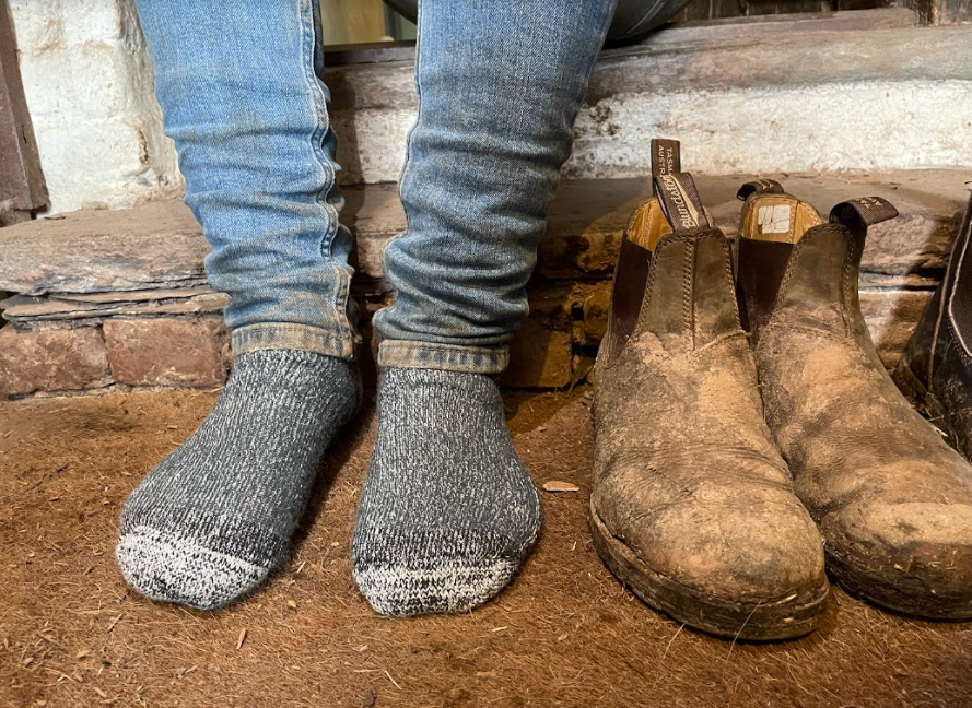 
                  
                    Comfort Socks NZ Merino Boot Socks
                  
                